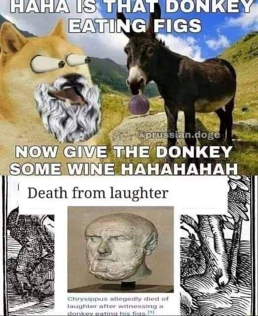 FIGS у THE DONKEY ЗОМЕ НАНАНАНАН Death from laughter ®WE SSS Chrysippu ily fle