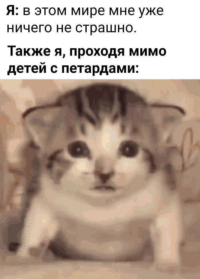 Я: в этом мире мне уже ничего не страшно. Также я, проходя мимо детей с петардами: