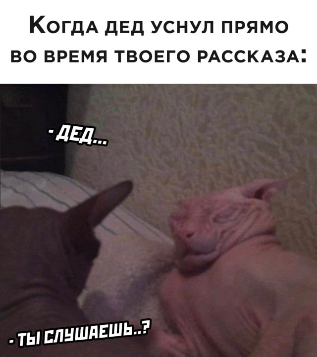 КогдА ДЕД УСНУЛ ПРЯМО ВО ВРЕМЯ ТВОЕГО РАССКАЗА. `ДЕД... СЛУШАЕШЬ..?