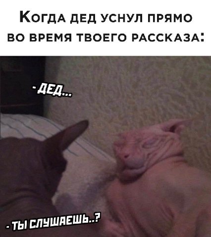 КогдА ДЕД УСНУЛ ПРЯМО ВО ВРЕМЯ ТВОЕГО РАССКАЗА. `ДЕД... СЛУШАЕШЬ..?
