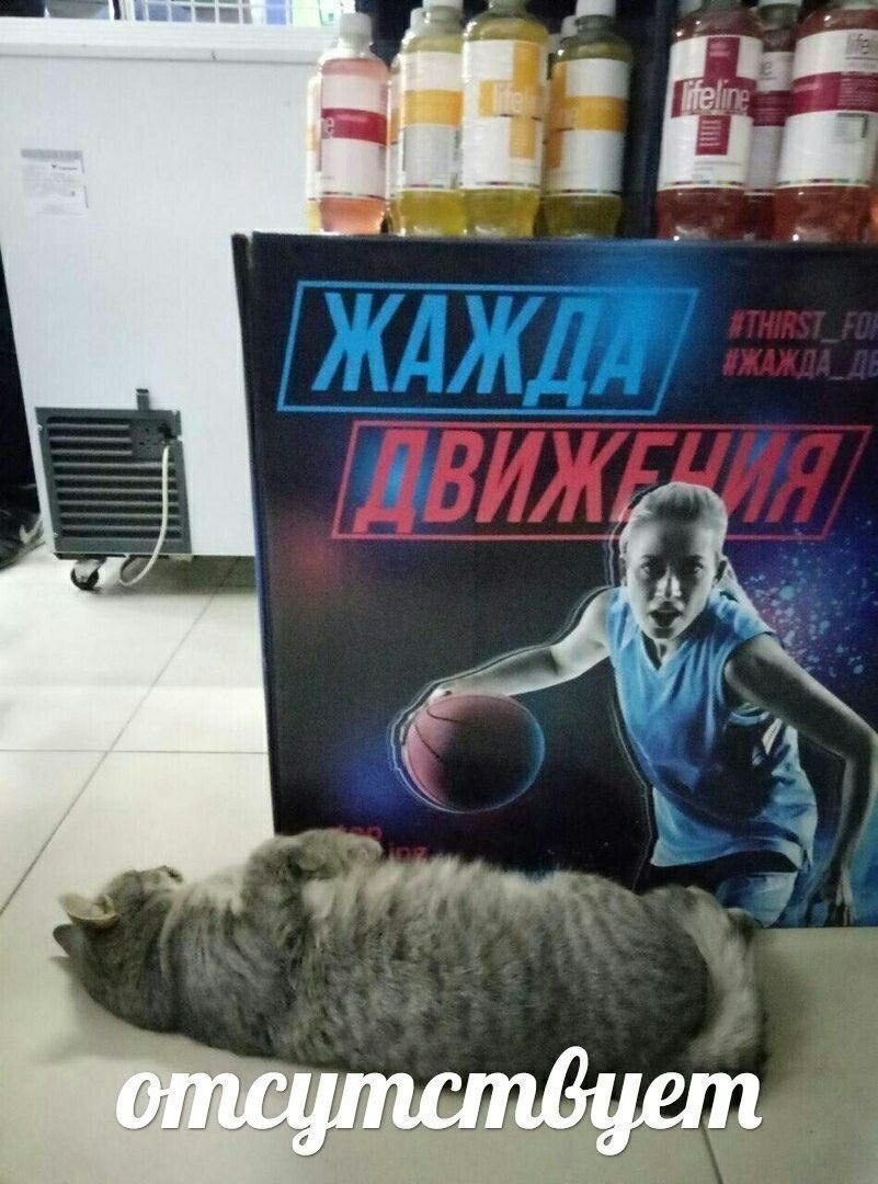 я