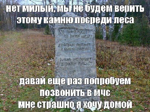 HeT i И He будем вепить этому камию посреди леса давай ещераз попробуем ПОЗВОНИТЬ В МЧС мне страшн ону домой