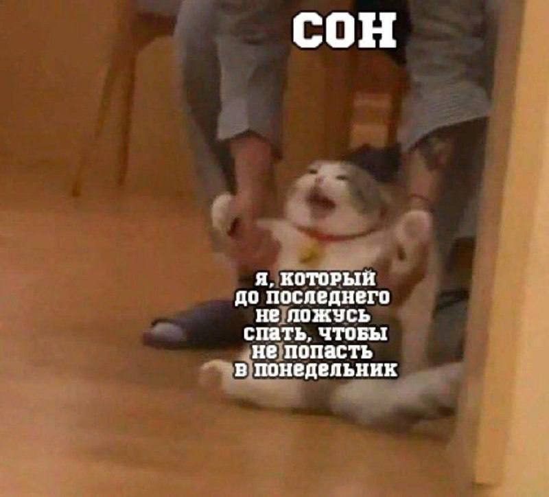 СОН Я, KOTOPbIH до последнего He ЛОЖУСЬ спать, чтоБЫ не попасть понедельник
