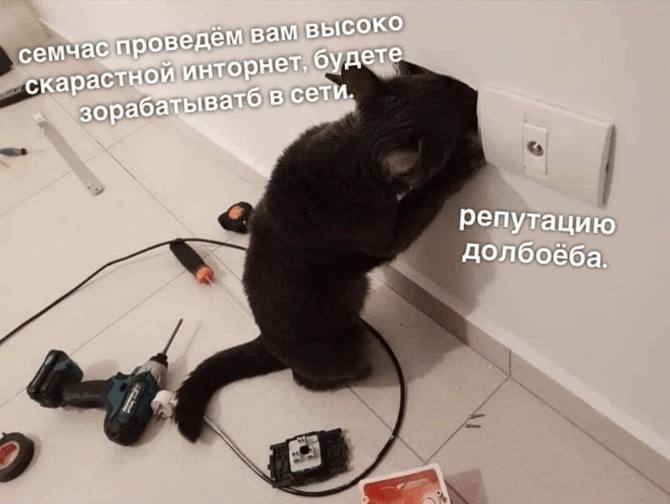проведём вам высоко будете a репутацию долбоёба