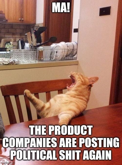 THE PRODUCT COMPANIES ARE POSTING POLITICAL SHIT AGAIN