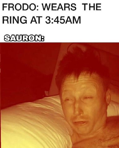 FRODO: WEARS THE RING AT