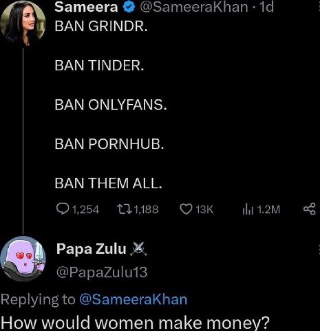 Sameera ©@ЗатеегаКпап 1 4 BAN GRINDR. BAN TINDER. BAN ONLYFANS BAN PORNHUB BAN THEM ALL. 1,254 11,188 Papa Zulu @PapaZulu13 Replying to @SameeraKhan How would women make money?