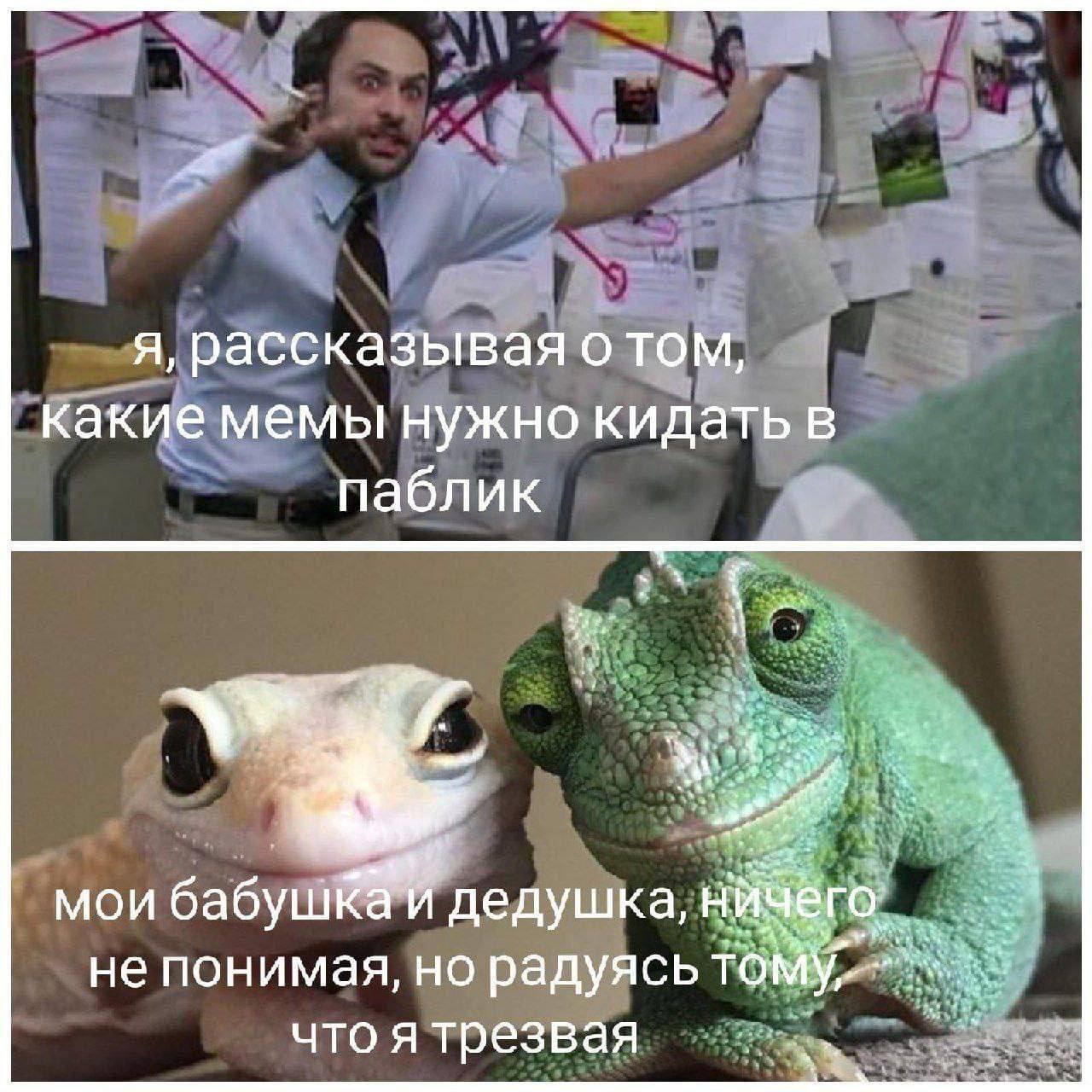 я, рассказывая отом, какие мемы нужно кидать в паблик мои бабуш дедушка, не понимая, но радуясь чтоя трезвая