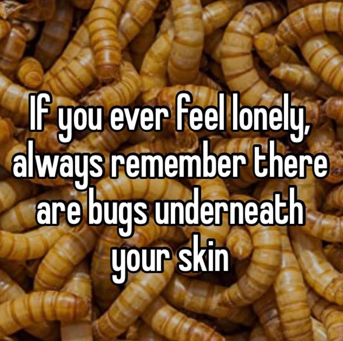 IF you ever Feel lonely, always remember there are bugs underneath your skin