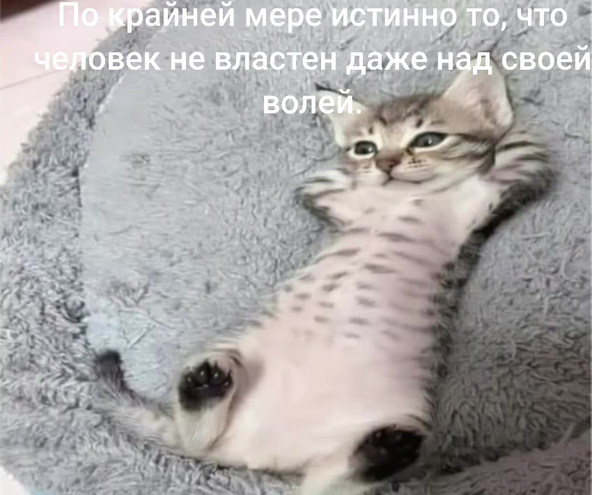 айней мере то, что век не властен ‘даже на