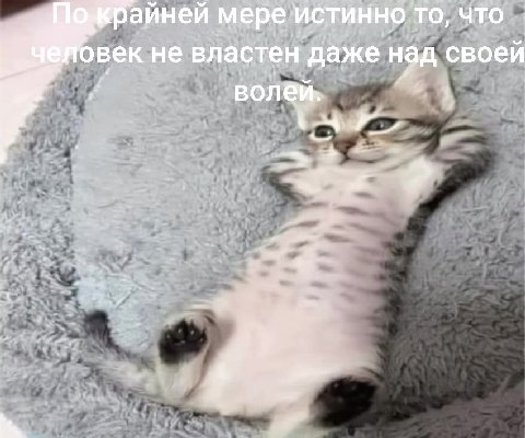 айней мере то, что век не властен ‘даже на