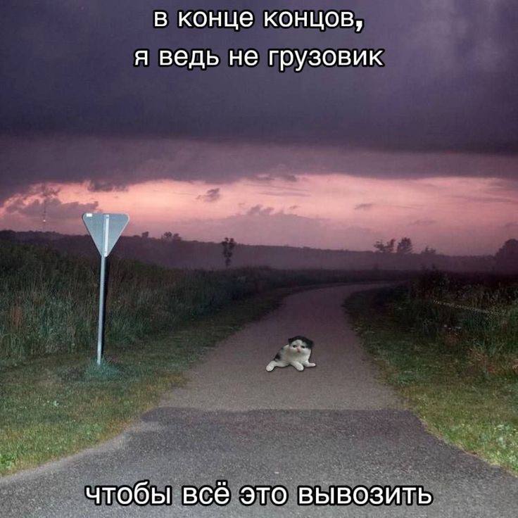 в конце концов, я ведь не грузовик чтобы всё это вывозить