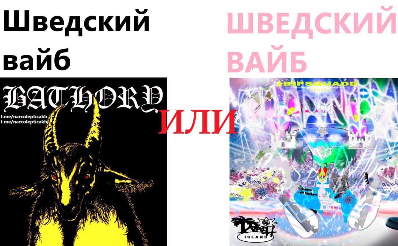 Шведский вайб t.me/narcolepticakh 5 2% 4 и