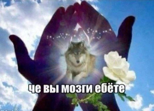 че вы мозги ебете