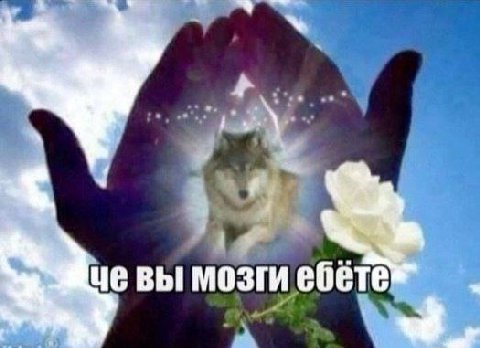 че вы мозги ебете