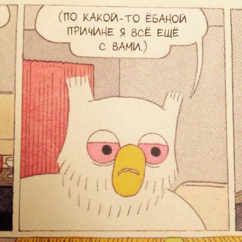 (ПО КАКОЙ-ТО ЁБАНОЙ Я BCE ЕЩЁ 1 if