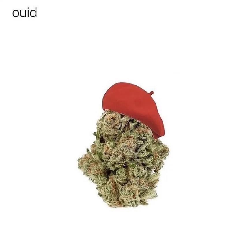 ouid 4