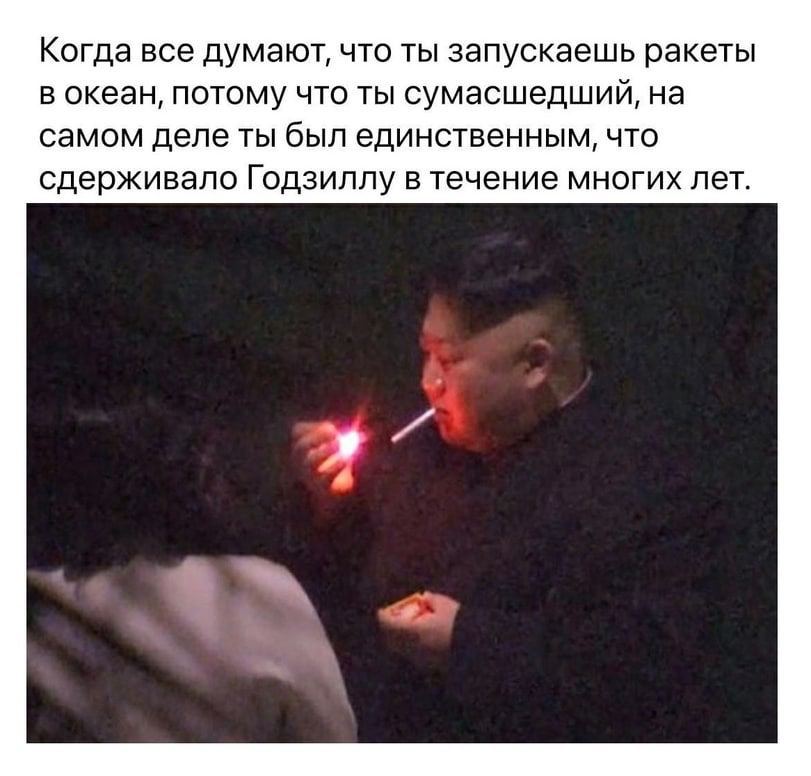 Когда все думают, что ты запускаешь ракеты в океан, потому что ты сумасшедший, на самом деле ты был единственным, что сдерживало Годзиллу в течение многих лет.