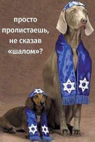 просто пролистаешь, не сказав «шалом»?
