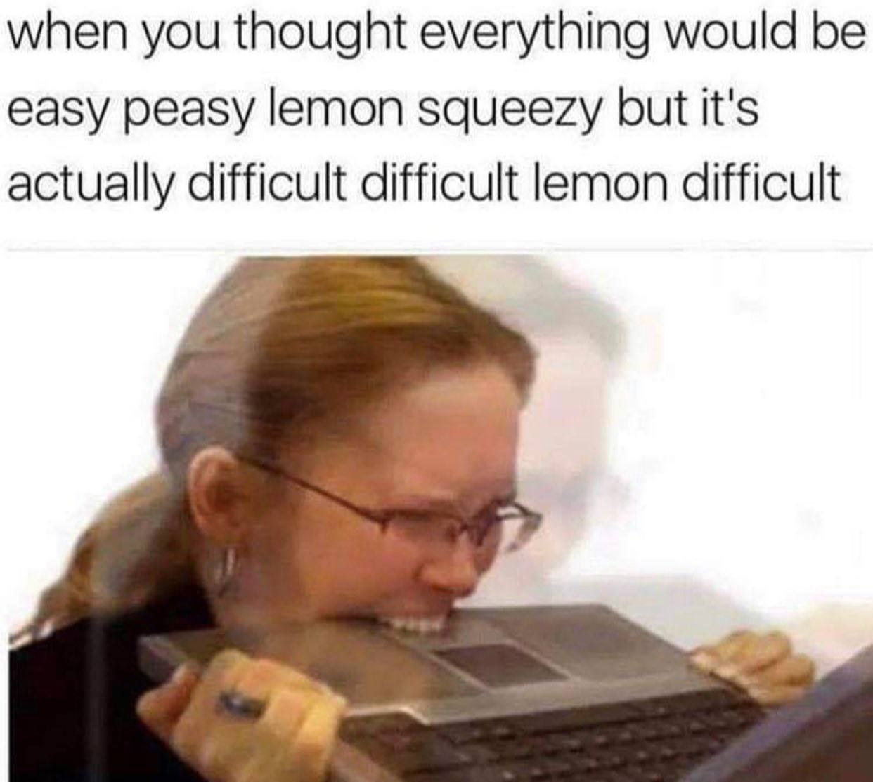 when you thought everything would be easy peasy lemon squeezy but it's actually difficult difficult lemon difficult