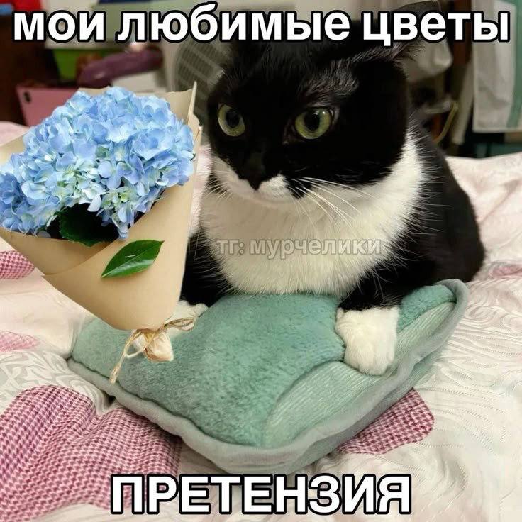 мои любимые цветы if ТЕН 3 И