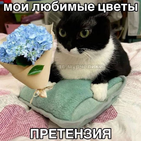 мои любимые цветы if ТЕН 3 И
