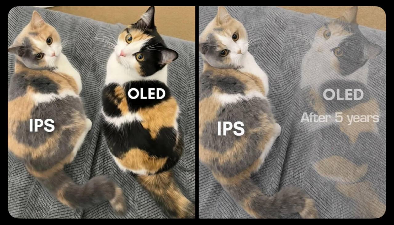 OLED АКег.5 уеаг$ IPS IPS у