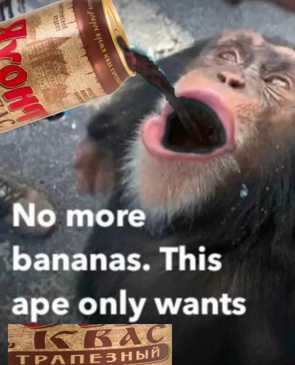 тоге bananas. This ape only wants