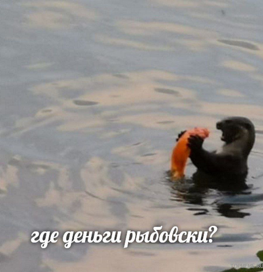 где деньги рыдовски?