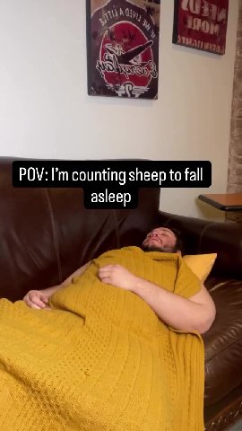 POV: I’m counting sheep to fall №
