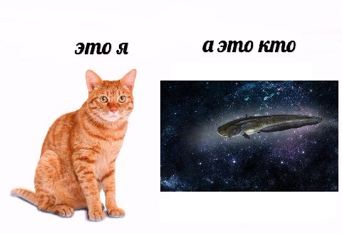 это Я аэто кто Or 7% AS.