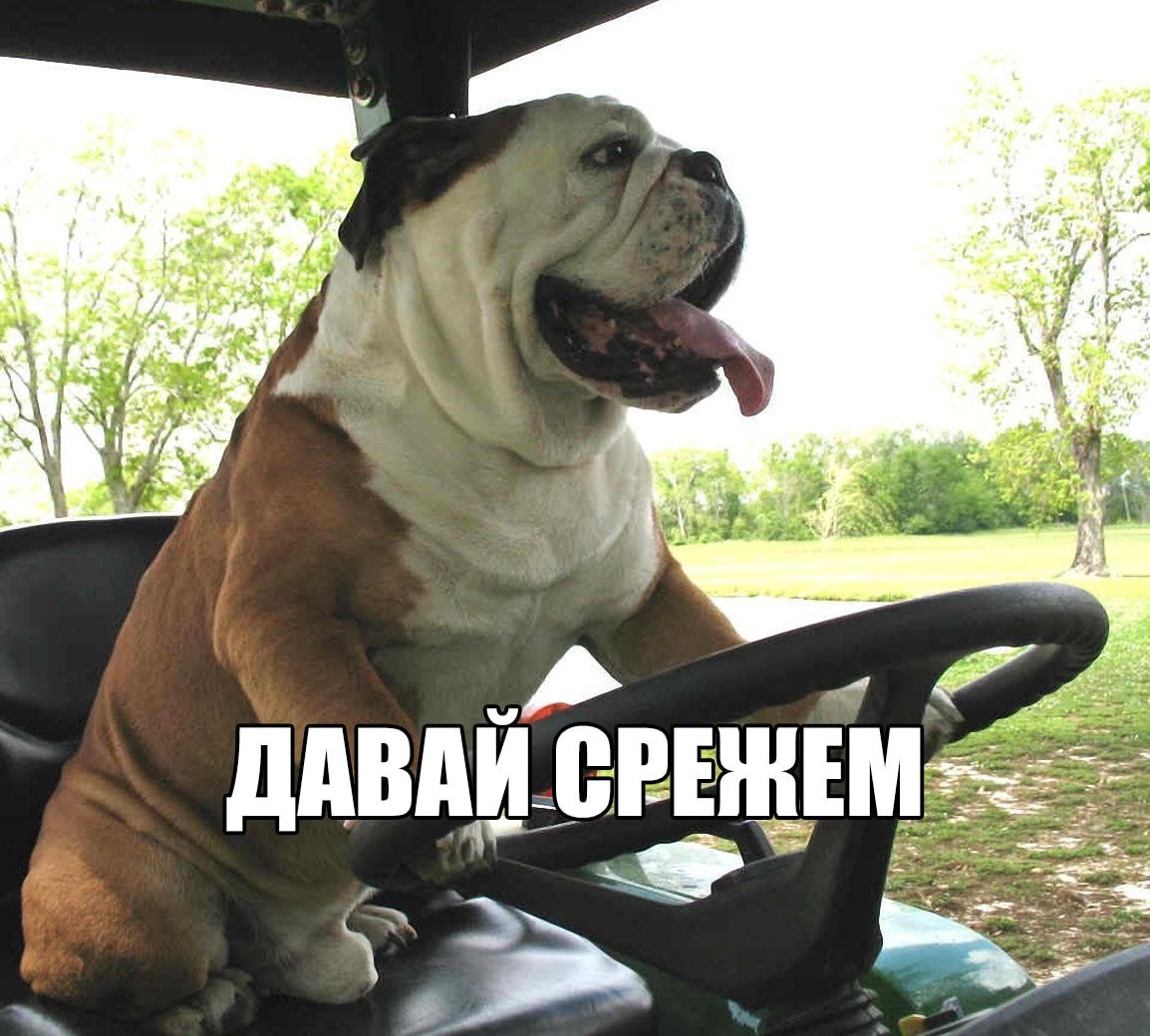Я ДАВАЙ