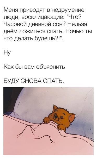 Меня приводят в недоумение люди, восклицающие: "Что? Часовой дневной сон? Нельзя днём ложиться спать. Ночью ты что делать будешь?!". Как бы вам объяснить БУДУ СНОВА СПАТЬ.