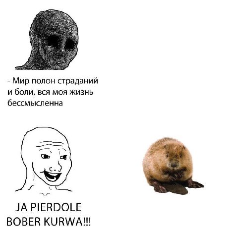 Мир полон страданий и боли, вся моя жизнь бессмысленна PIERDOLE BOBER