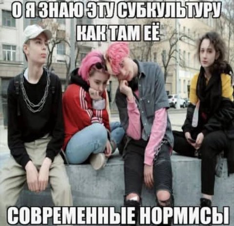 “Of СУБКУЛЬТУР RARTAM СОВРЕМЕННЫЕ НОРМИСЫ