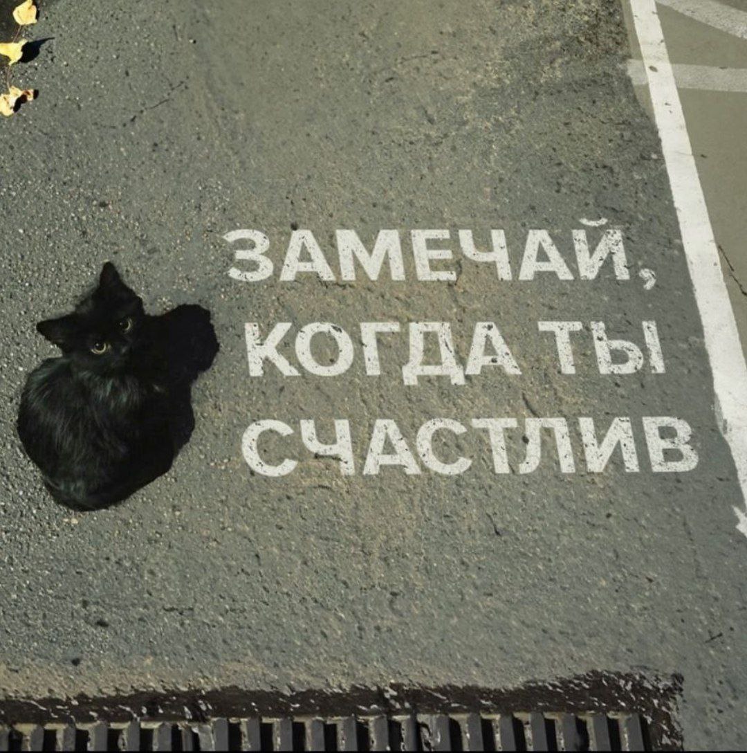КОГДА СЧАСТЛИВ