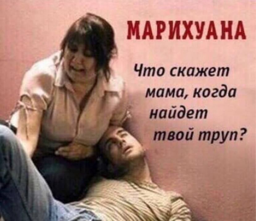 МАРИХУАНА Что скажет мама, когда найдет mpyn?