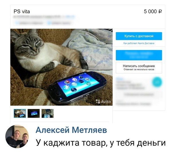 vita 5 000 Написать сообщение Отвечает за несколько часов о Алексей Метляев У каджита товар, у тебя деньги