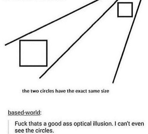 the two have the exact same size based-world: Fuck thats a good ass optical illusion. can’t even see the circles.