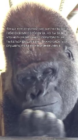 № Когда жена третий час рассказываем Г тебе о своих проблемах, но ты знаешь что нельзя ей ничего советовать или пытаться решить иж лужно сидеть a слушать, покаейне'станет легче. 5; = > тебео своихпроб