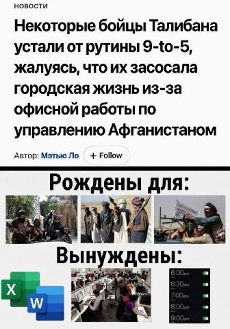 НОВОСТИ Некоторые бойцы Талибана устали от рутины 9-to-5, жалуясь, что засосала городская жизнь из-за офисной работы по управлению Афганистаном Автор: Мэтью Follow Рождены для: 4 Вынуждены: