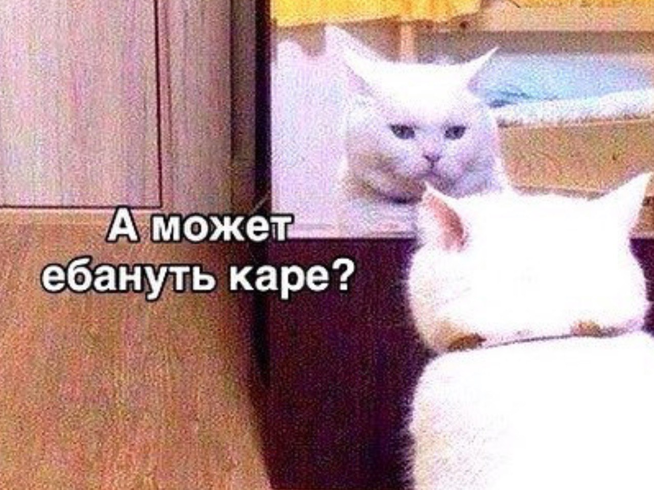 ебани меня