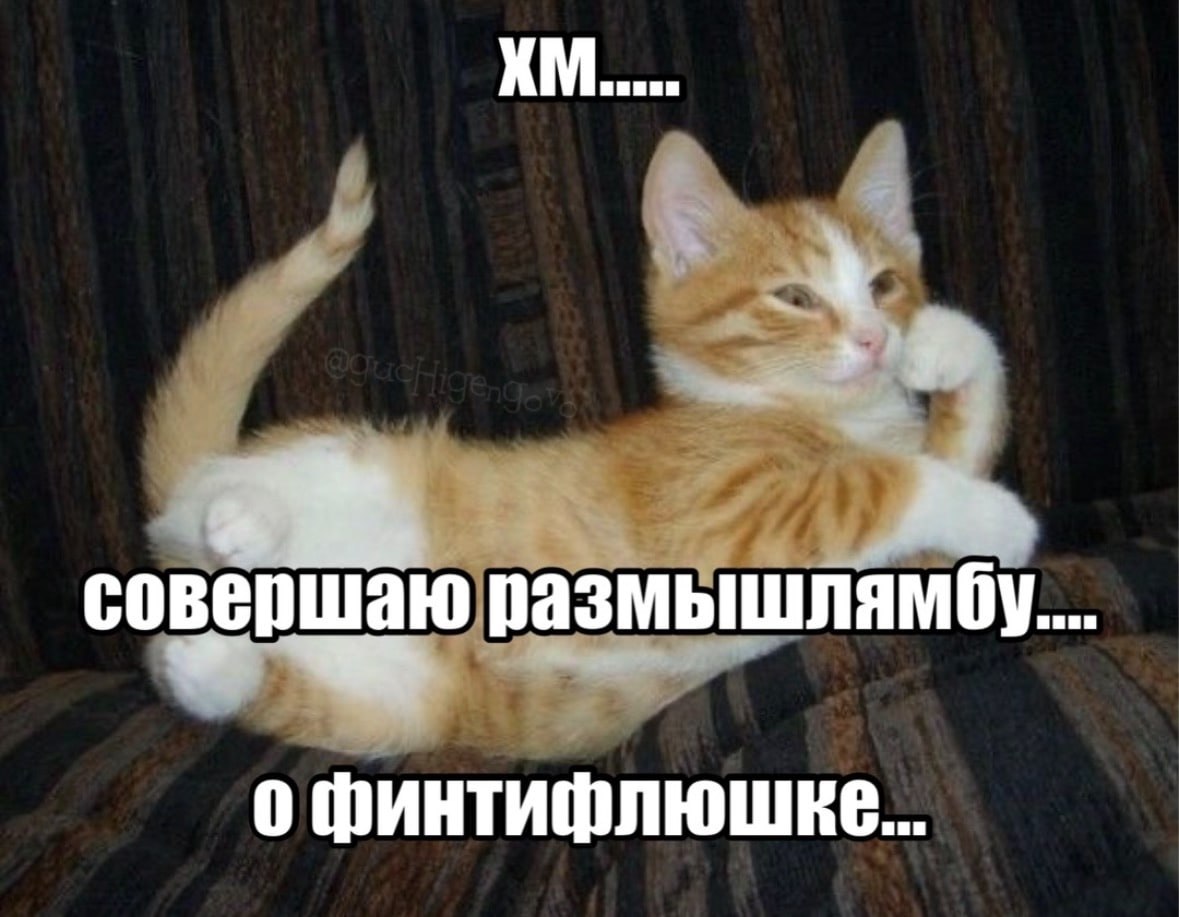 совершаю размышлямбу.... о финтифлюшке...