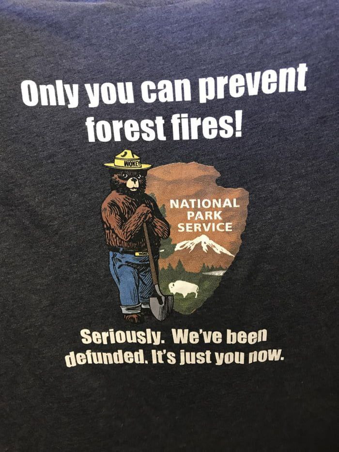 Only you can forest fires! РАВК SERVICE Seriously. We've веей getunded. It’s just you now.