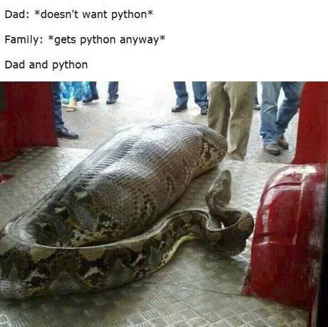Dad: *doesn't want python* Family: *gets pyth anyway* Dad and python AN