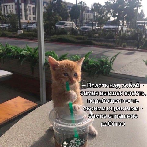 aneg Власть вы порабощен We воими страстям страшн рабство