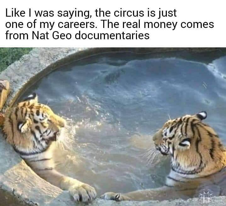 Like was saying, the circus is just one of my careers. The real money comes from Nat Geo documentaries