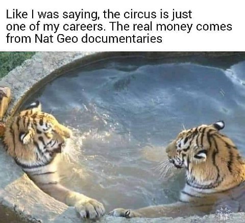 Like was saying, the circus is just one of my careers. The real money comes from Nat Geo documentaries