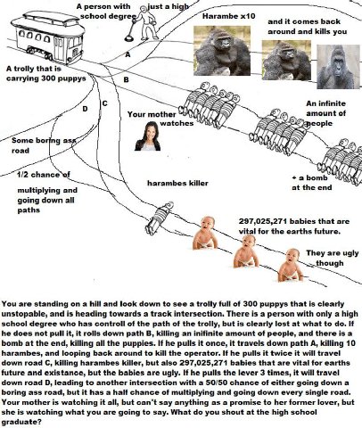 А регзоп with а school degr Harambe 00 a 44 around and kills you Я A trolly that is carrying 300 рирруз в An infinite Your mother amount of горе Зоте road 1/2 chance abomb harambes killer multiplying 