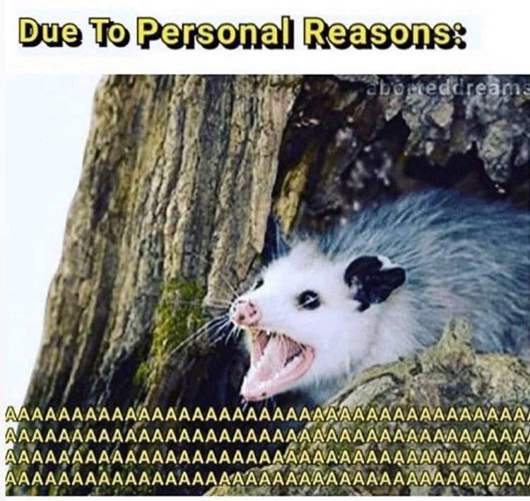 4 4 и 2